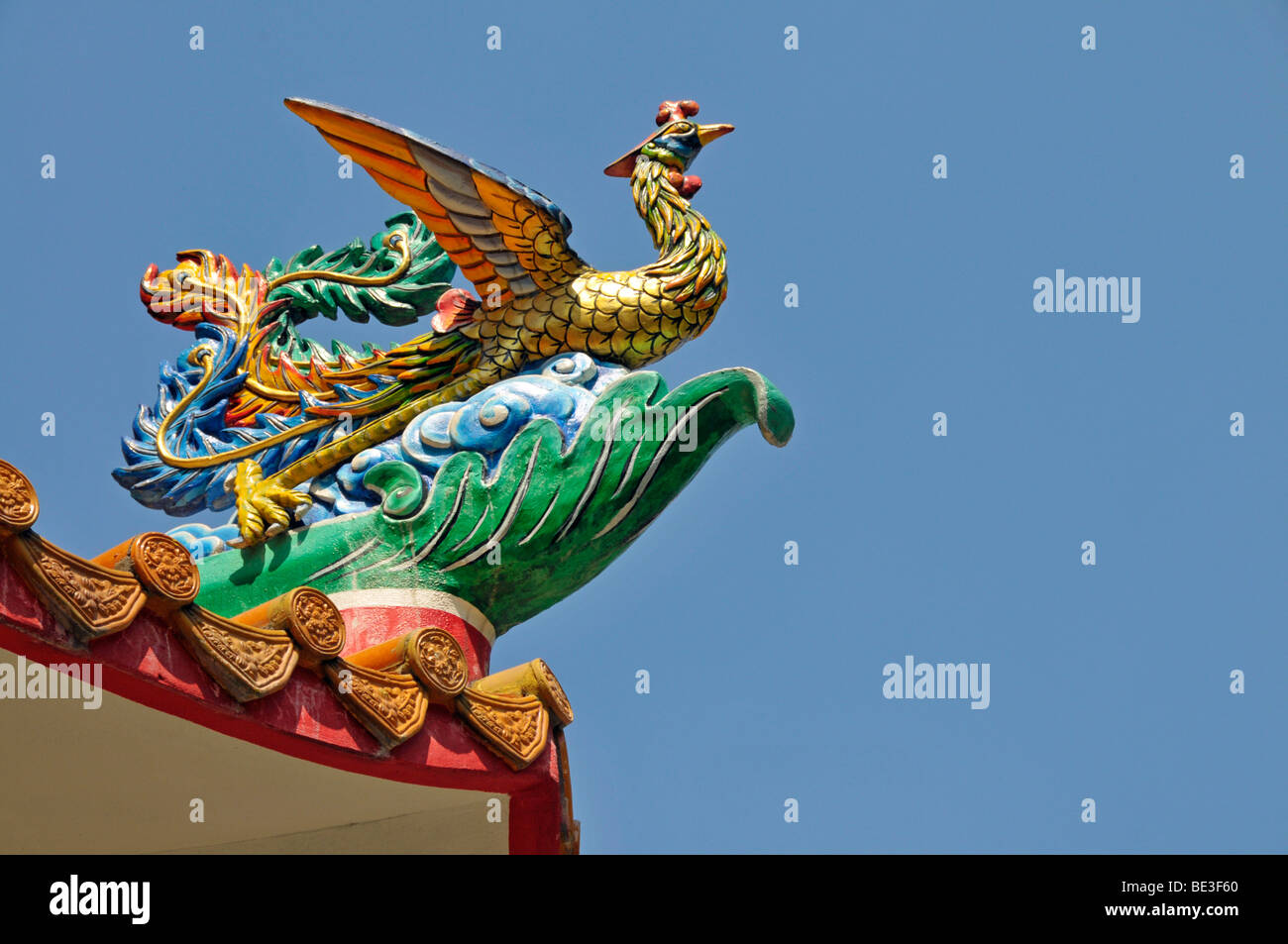 Peacock, simbolo per amore, di dignità, di alto rango e bellezza, il tempio Cinese a Bangkok, Thailandia, Asia Foto Stock