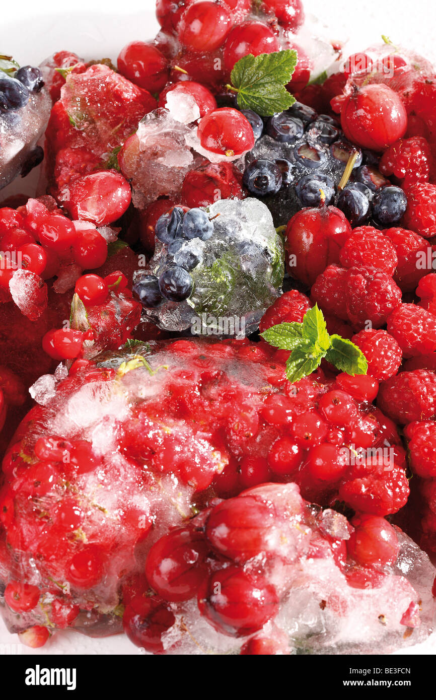 Misto di frutti di bosco surgelati, ribes rossi, ribes rosso, uva spina, mirtilli e lamponi Foto Stock
