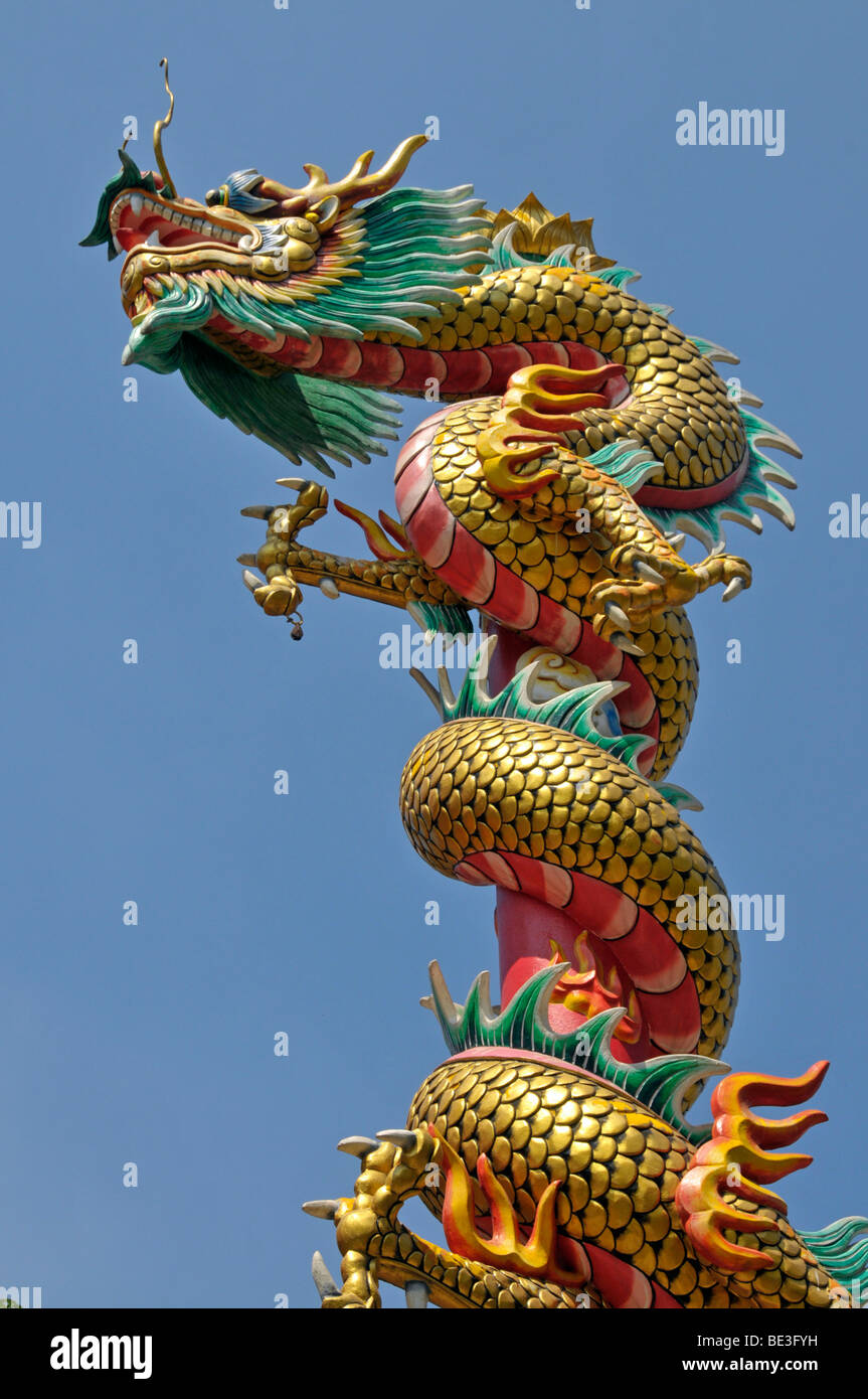 Drago Cinese, il tempio Cinese a Bangkok, Thailandia, Asia Foto Stock