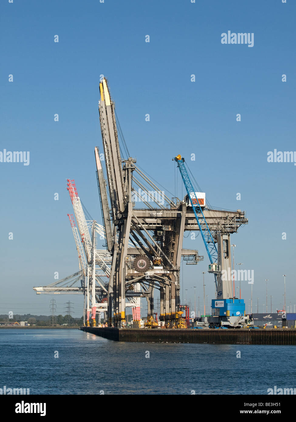 Gantry cranes in corrispondenza di un vuoto di Southampton container terminal REGNO UNITO Foto Stock