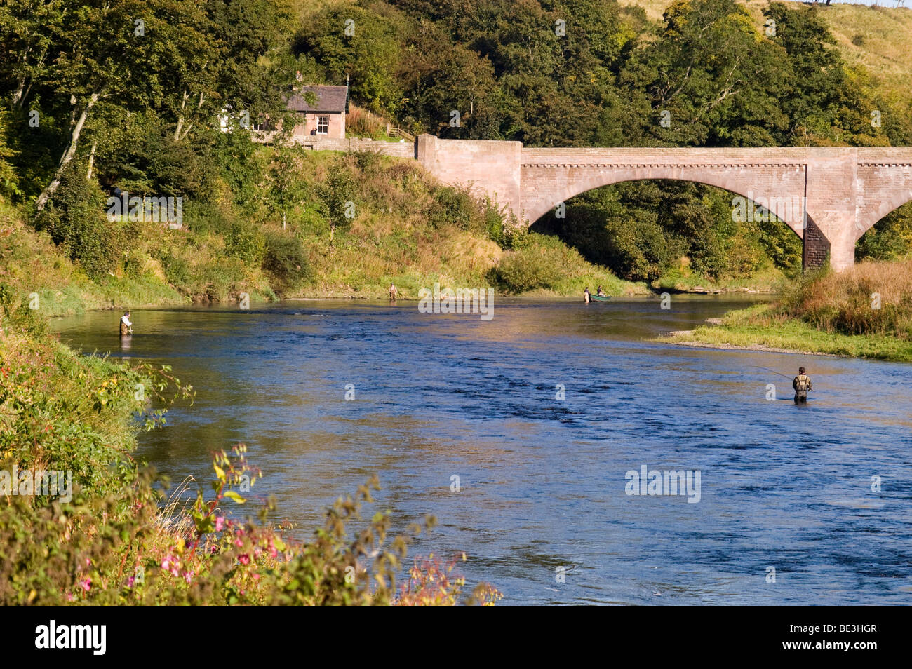 Pesca della canna per il salmone sul fiume inferiore Tweed a Ladykirk e Norham Bridge sul lato scozzese del confine. Foto Stock