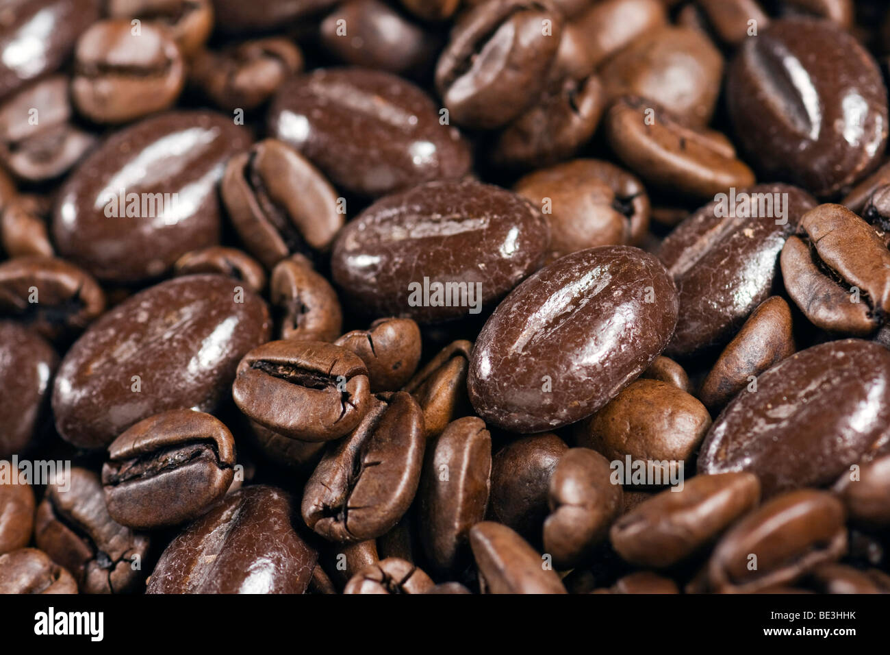 Chicchi di caffè espresso, fagioli al cioccolato Foto Stock