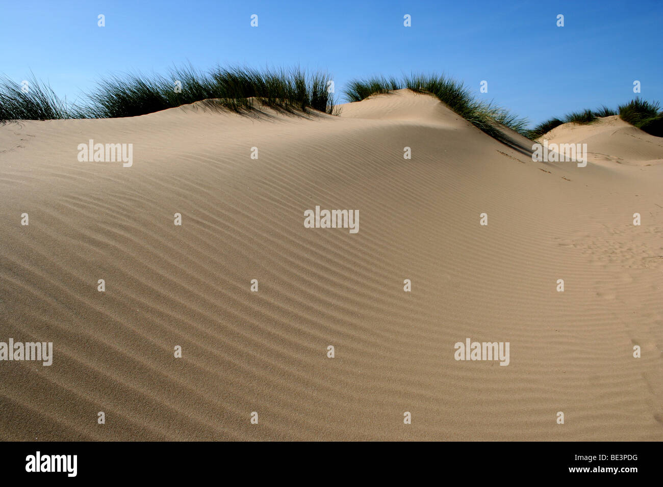 Dune di sabbia a Formby punto, Liverpool. Foto Stock