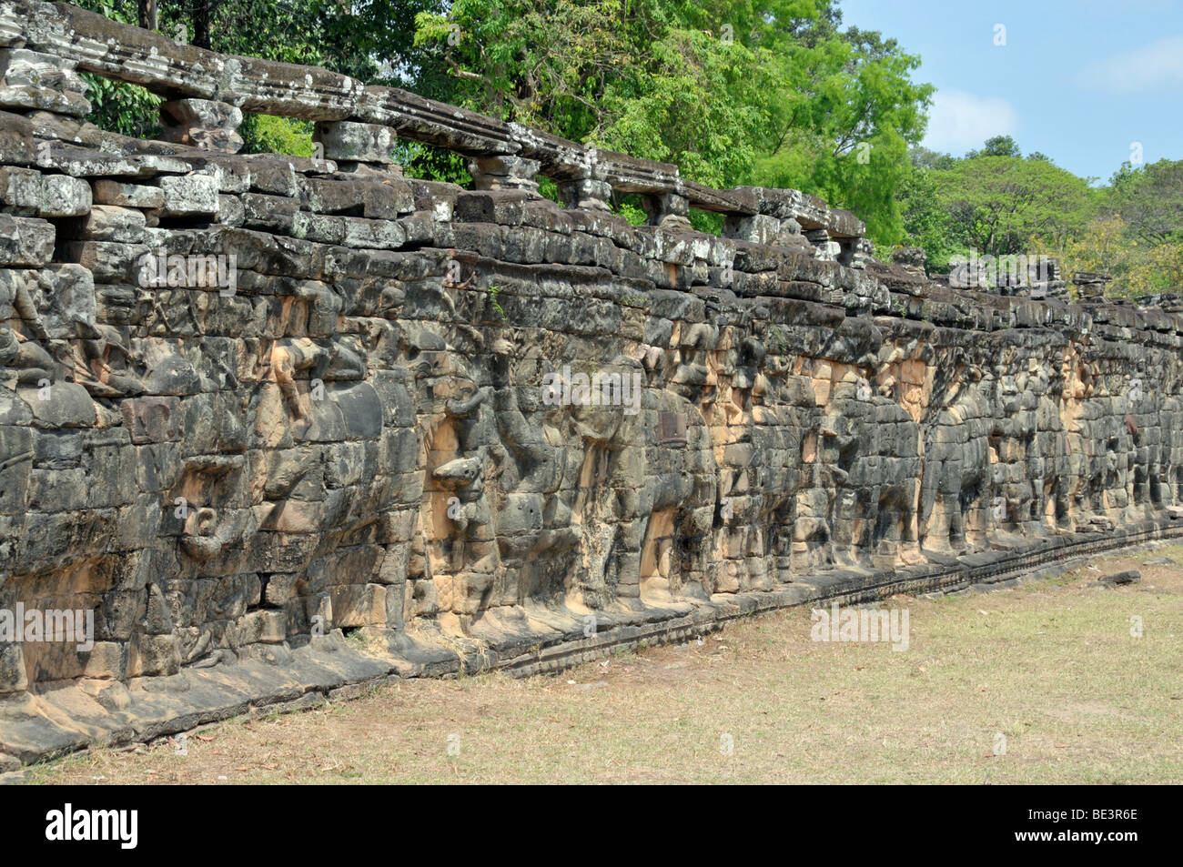 Rilievi di elefanti, Terrazza degli elefanti, Angkor, Cambogia, Asia Foto Stock