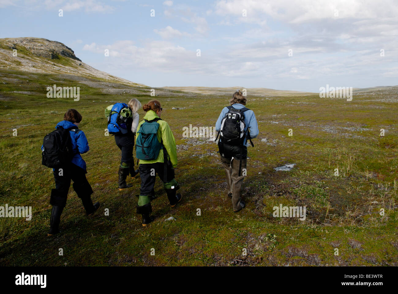 Escursioni a piedi attraverso la tundra, Parco Nazionale e Riserva di Katmai, Alaska Foto Stock