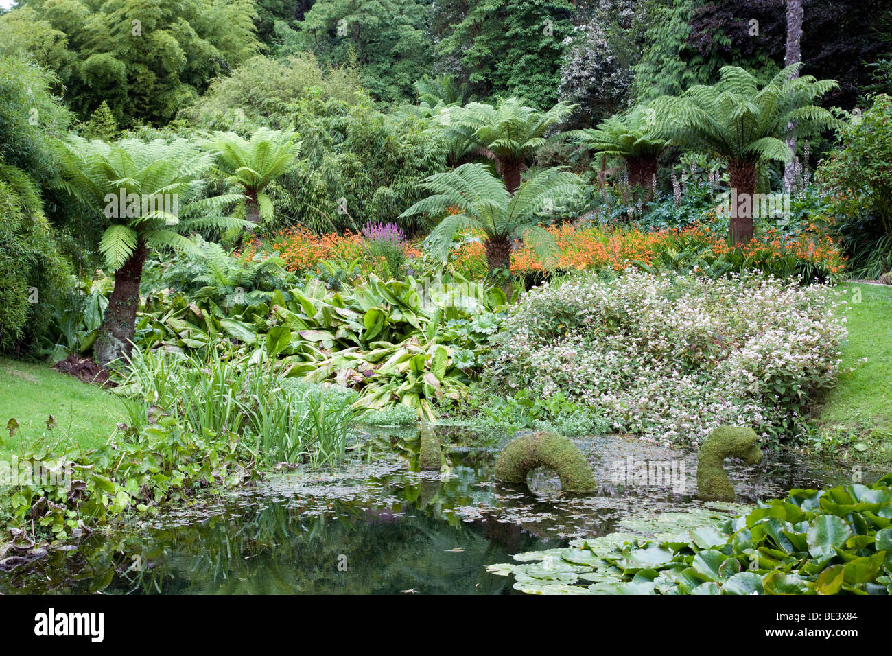 Trebah laghetto in giardino con creatura; Cornovaglia Foto Stock