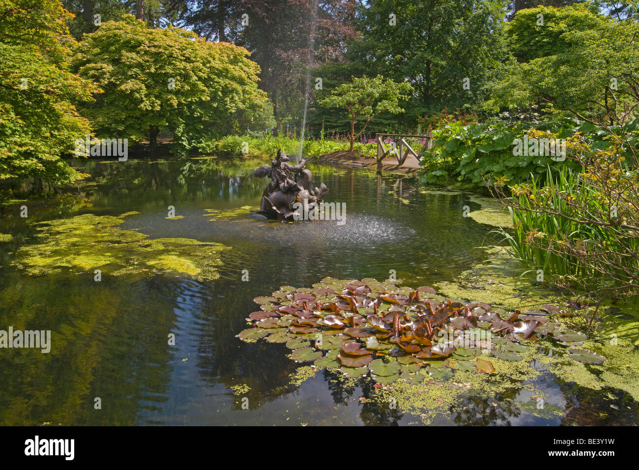 Stagno, fontana, Benmore giovani Botanic Garden, Argyl e Bute, Scozia. Giugno, 2009 Foto Stock