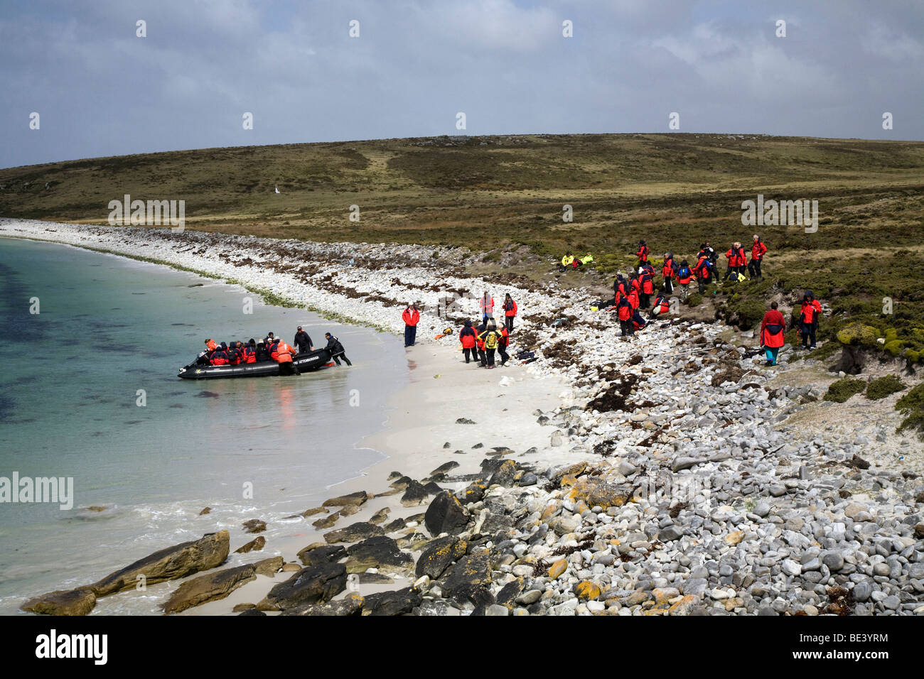 Crociera i passeggeri in arrivo da zodiac a Blanco Cove, Isole Falkland, Sud Atlantico Foto Stock