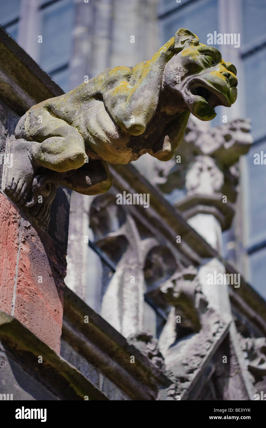 Gargoyle ornamento in stile gotico Duomo Foto Stock