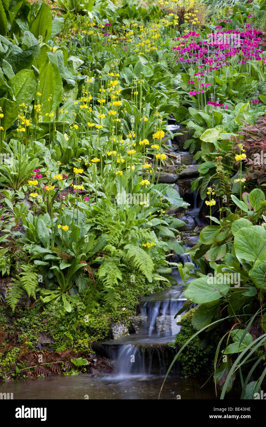 Trebah gardens; Cornovaglia; in estate Foto Stock