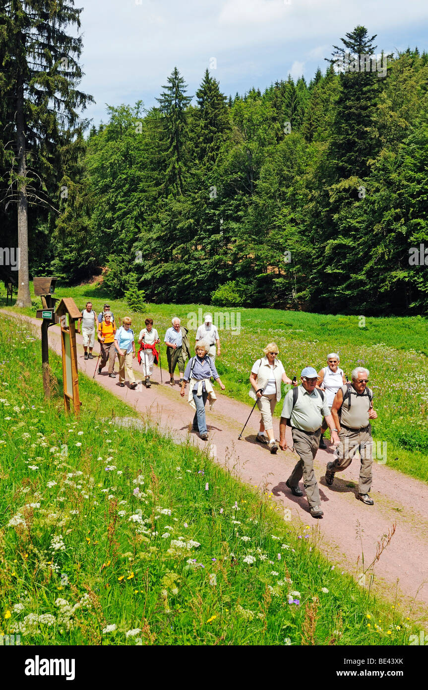 Gli escursionisti in Oberes Vessertal valley, Biosphaerenreservat Vessertal-Thueringer Wald, riserva della biosfera Vesser valle-Turingia Foto Stock