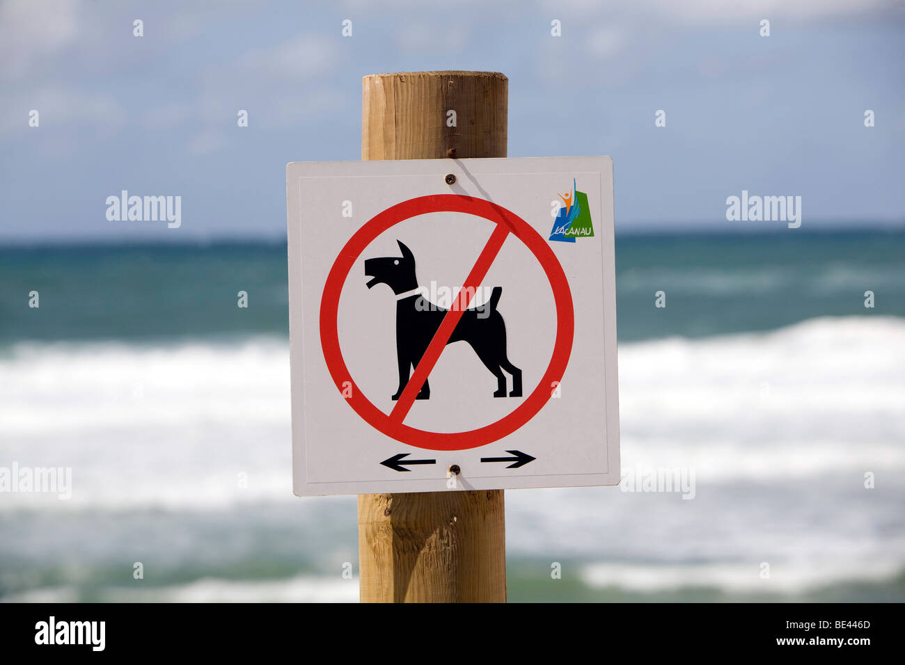 I cani non sono ammessi sulla spiaggia segno in Lacanau Ocean sull'Atlantico costa sud-ovest della Francia nella regione di Bordeaux Foto Stock
