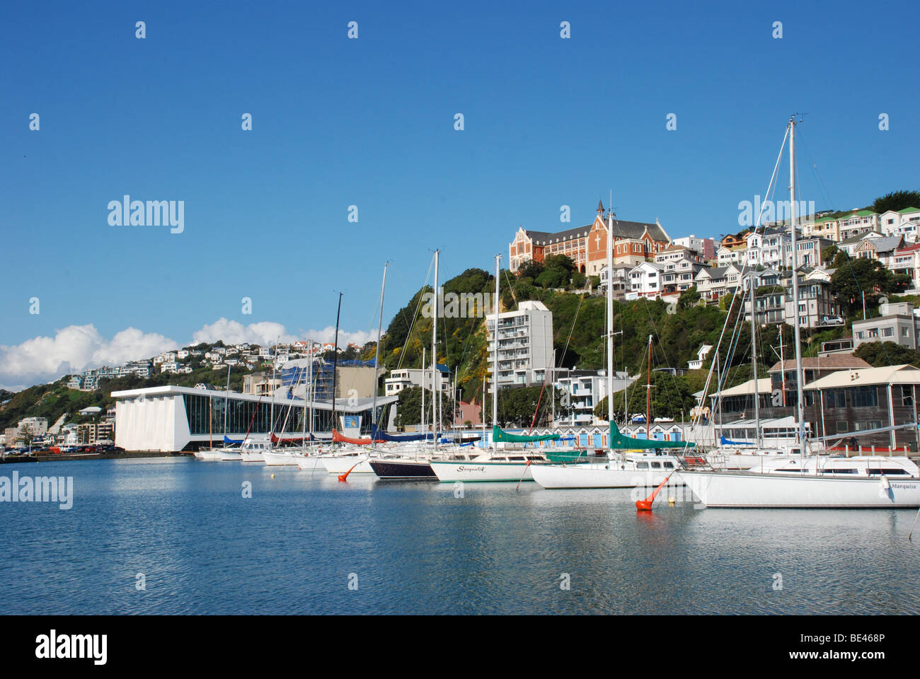 Barche a vela / yacht sul lungomare di Wellington Nuova Zelanda Foto Stock