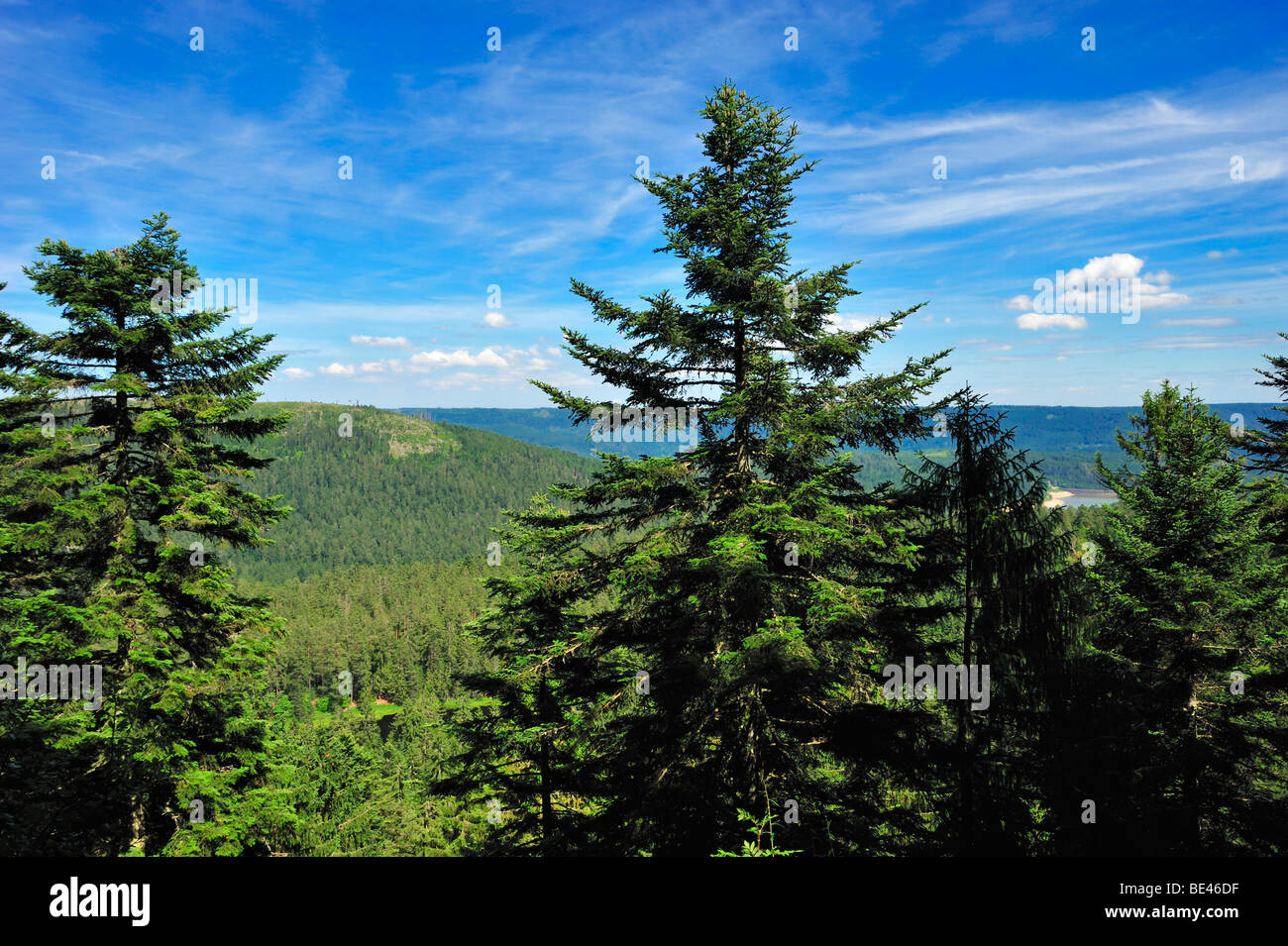 Vista da Mt. Zweiseenblick su Mt. Badener Hoehe, Westweg, Forbach, Foresta Nera, Baden-Wuerttemberg, Germania, Europa Foto Stock