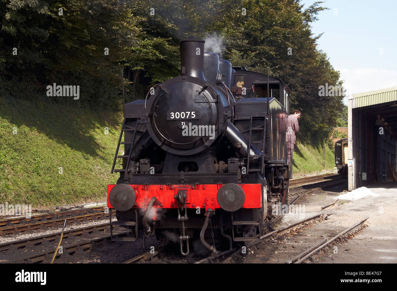 Treni a vapore sul Mid-Hants ferrovia in Hampshire, Inghilterra. presi in autunno di gala in settembre 2009 Foto Stock