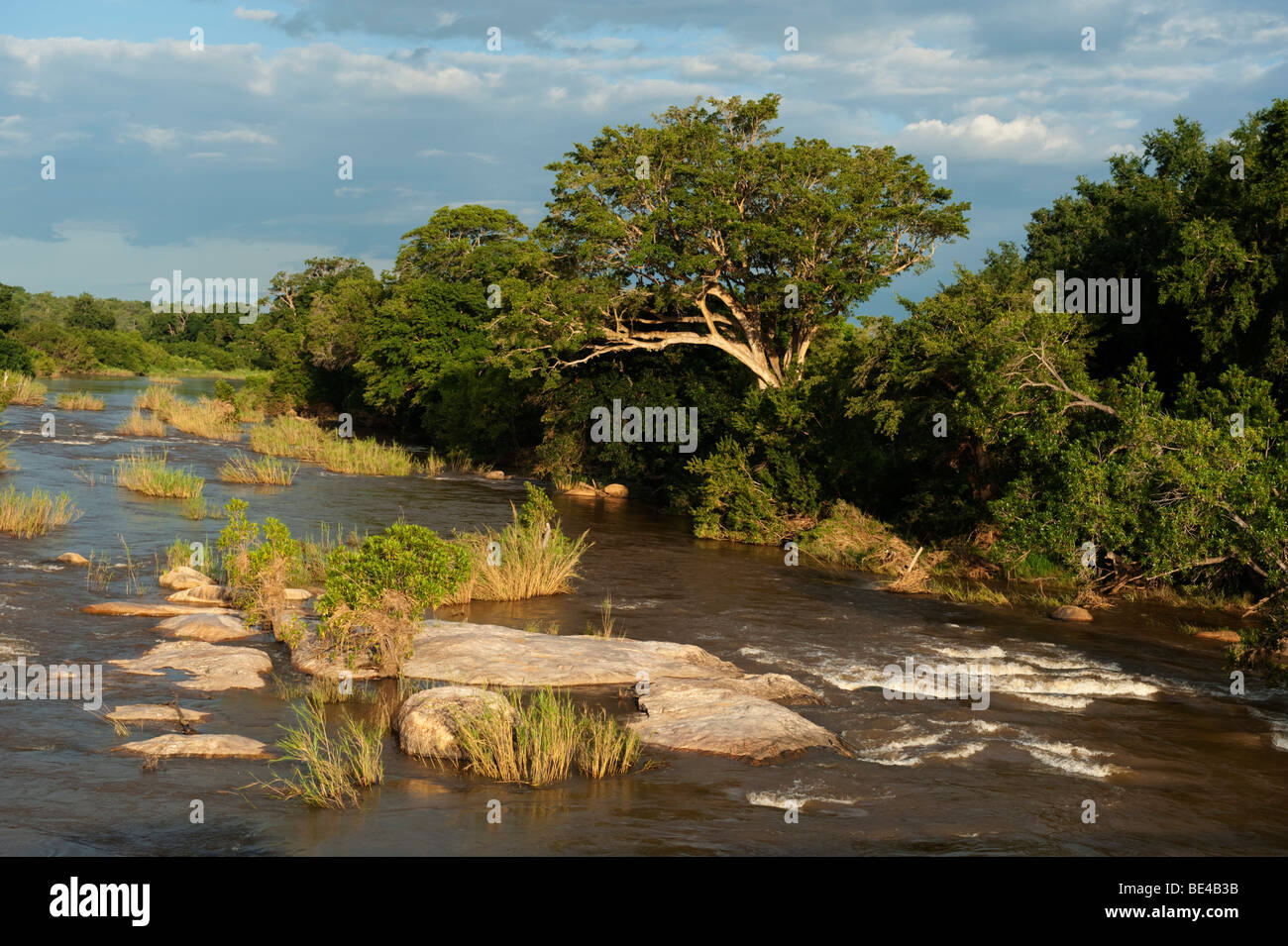 Sabie River, Kruger National Park, Sud Africa Foto Stock
