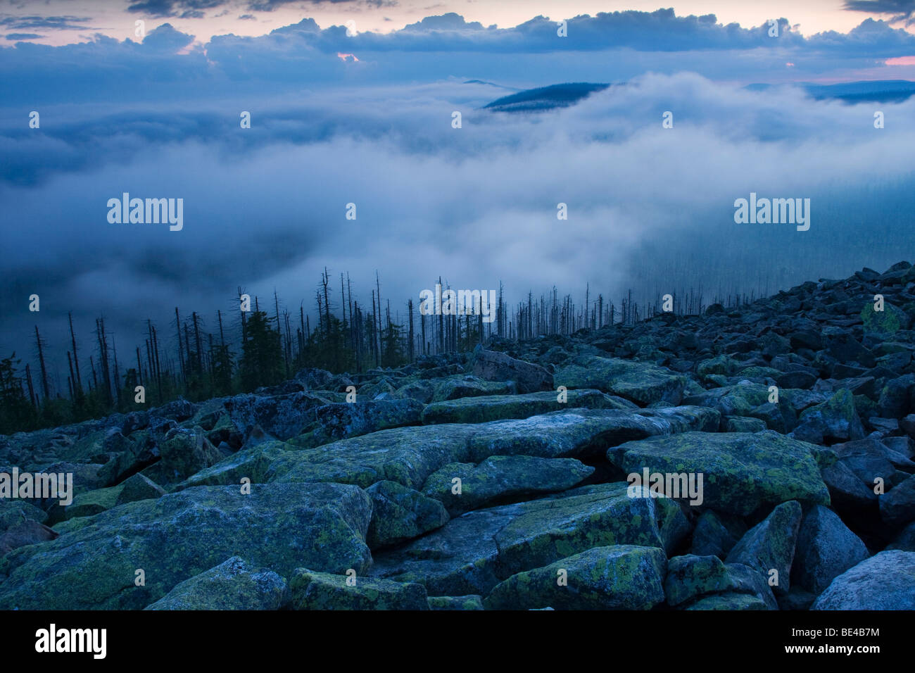 Umore nuvoloso sul picco di montagna Lusen, Parco Nazionale della Foresta Bavarese, Baviera, Germania, Europa Foto Stock