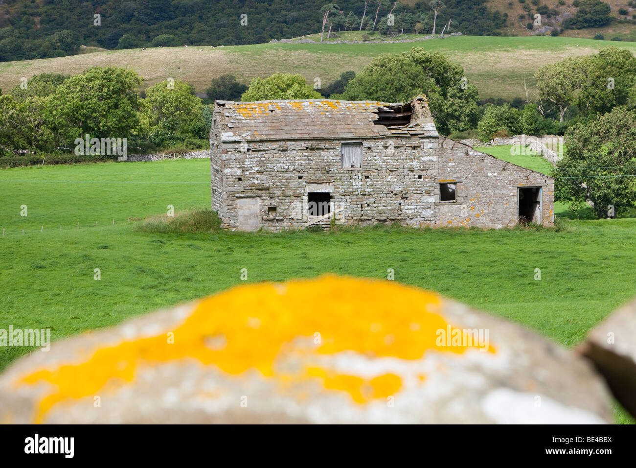 Un vecchio granaio di agricoltori che soffrono di abbandono nel Yorkshire Dales National Park vicino Bainbridge, UK. Foto Stock