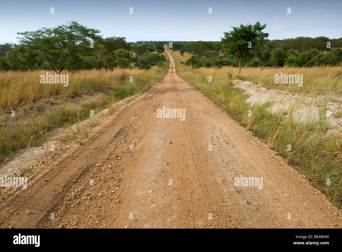 Strada sterrata in Semliki riserva faunistica in Uganda. Foto Stock