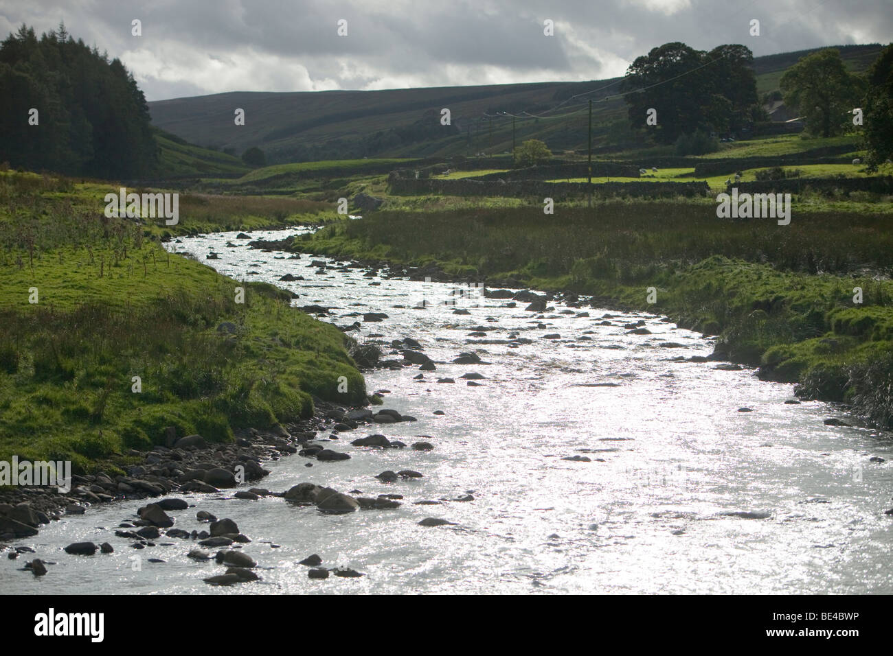 Coverdale nel Yorkshire Dales National Park, Regno Unito. Foto Stock