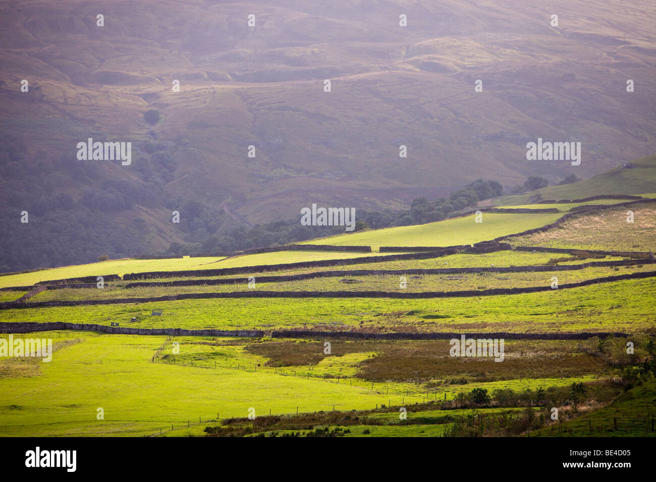 Paesaggio in Yorkshire Dales National Park vicino a Buckden, UK. Foto Stock