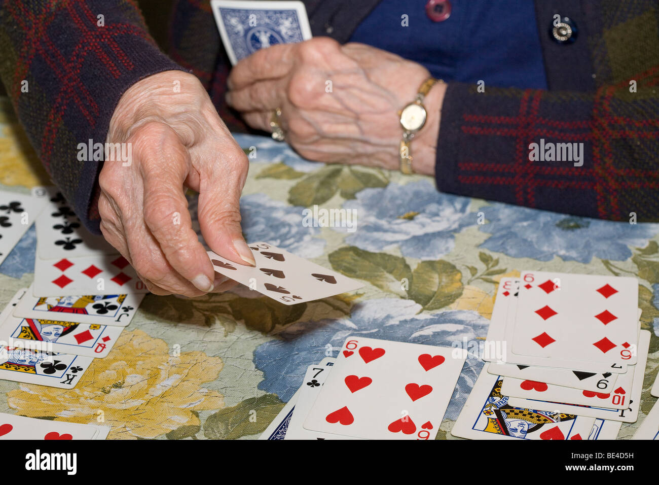 Vecchio canto al Solitaire. Le mani di una donna più anziana collocando un  nero cinque su un rosso sei come lei gioca un gioco del solitario Foto  stock - Alamy