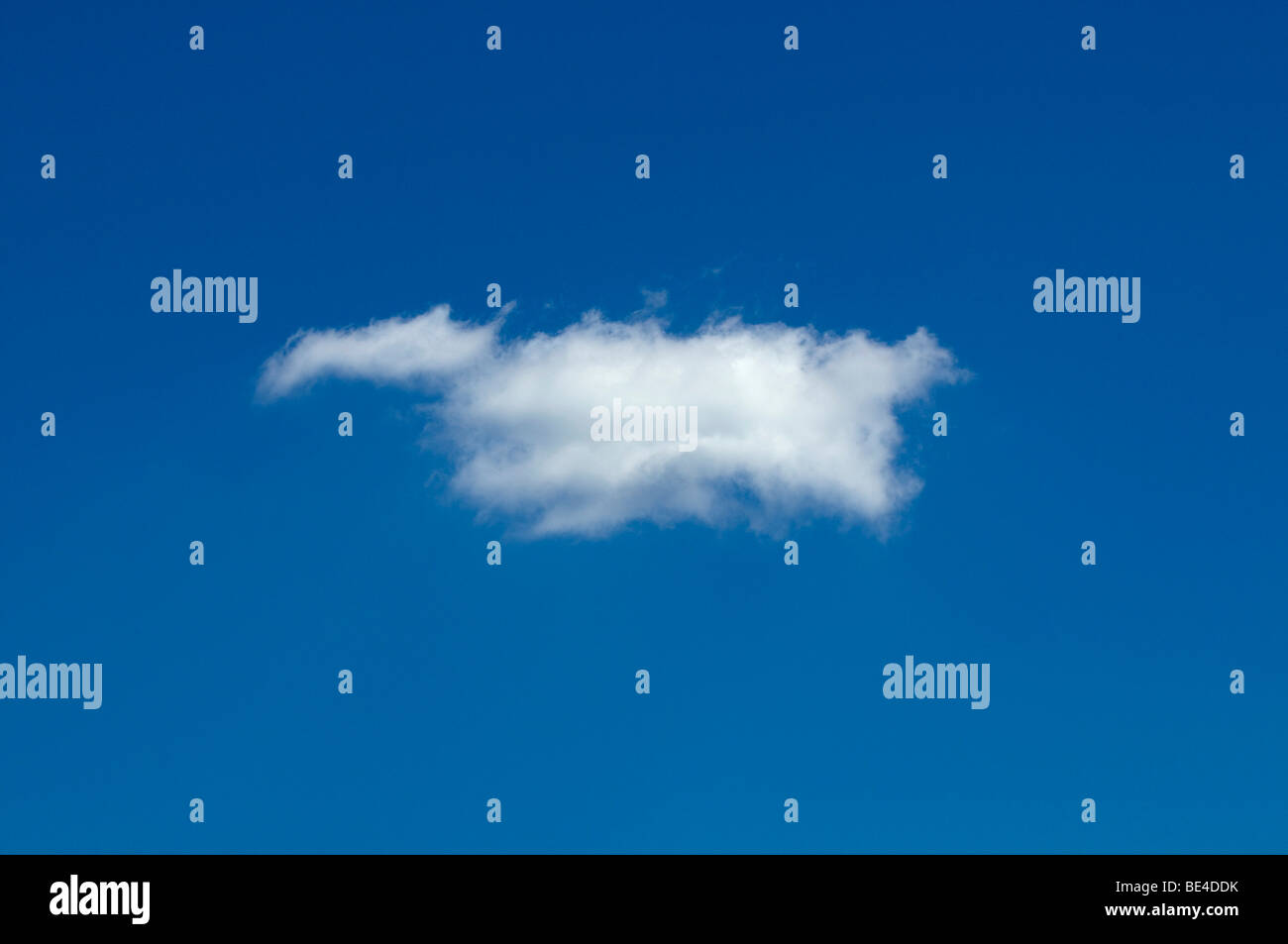 Singoli cumulus cloud contro un cielo blu Foto Stock