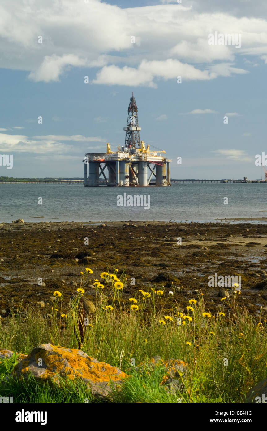 Un semi-sommergibile olio impianto di perforazione, l'artico 2, ormeggiata in Cromarty Firth e perenne Sowthistle, Sonchus arvense. Foto Stock