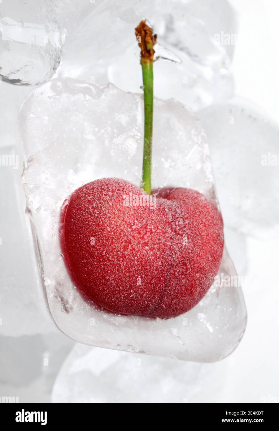La ciliegia congelati in un cubo di ghiaccio Foto Stock