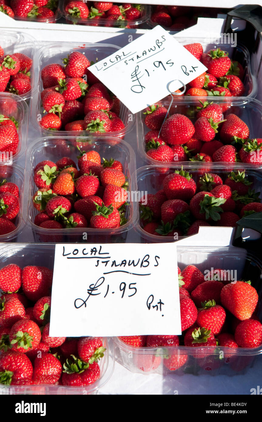 Le fragole in vendita nel corso di Ludlow Food Festival, Shropshire, Inghilterra, Regno Unito Foto Stock