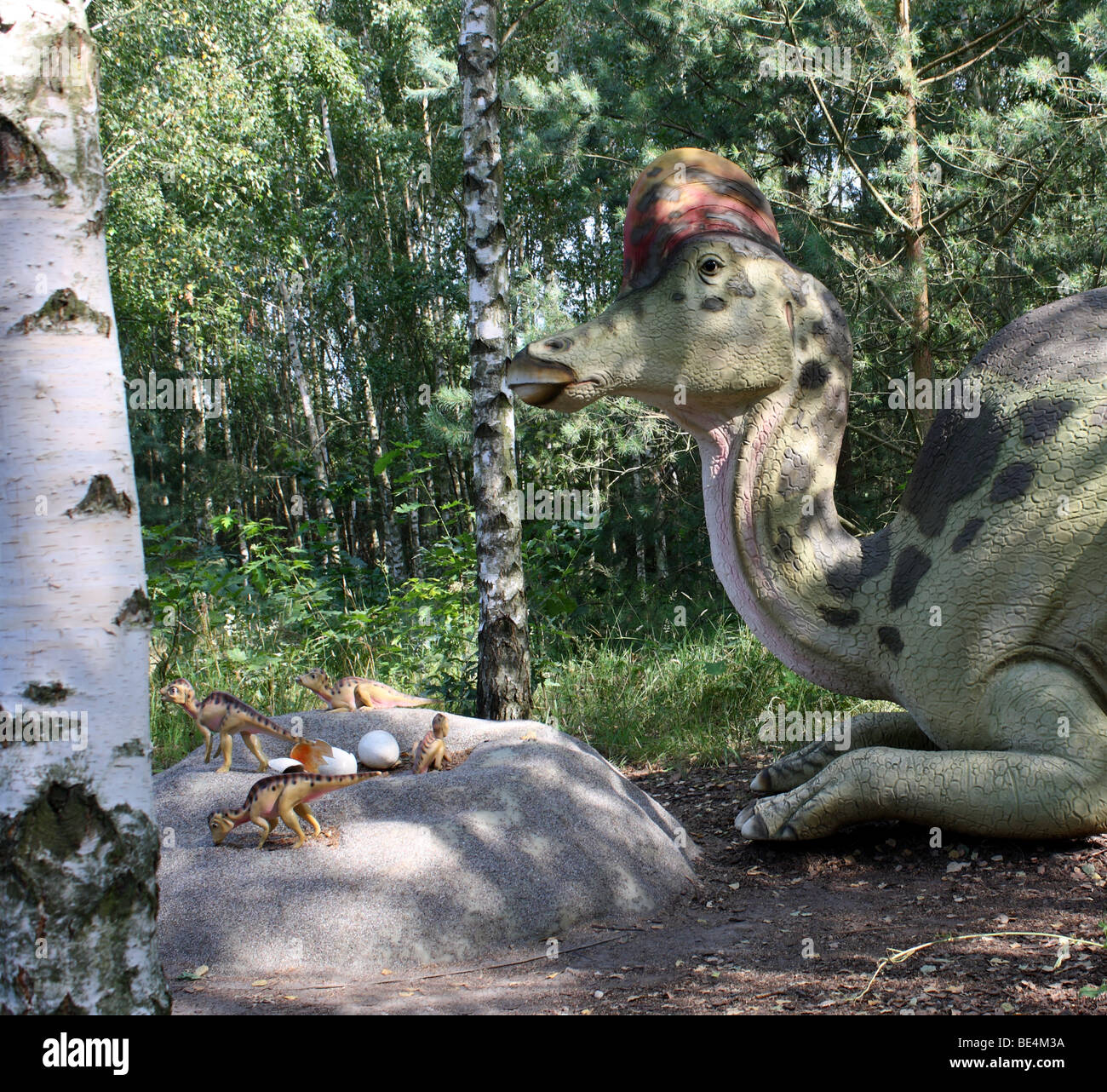 Parco Preistorico, Corythosaurus, dimensione reale replica, 2009 Foto Stock
