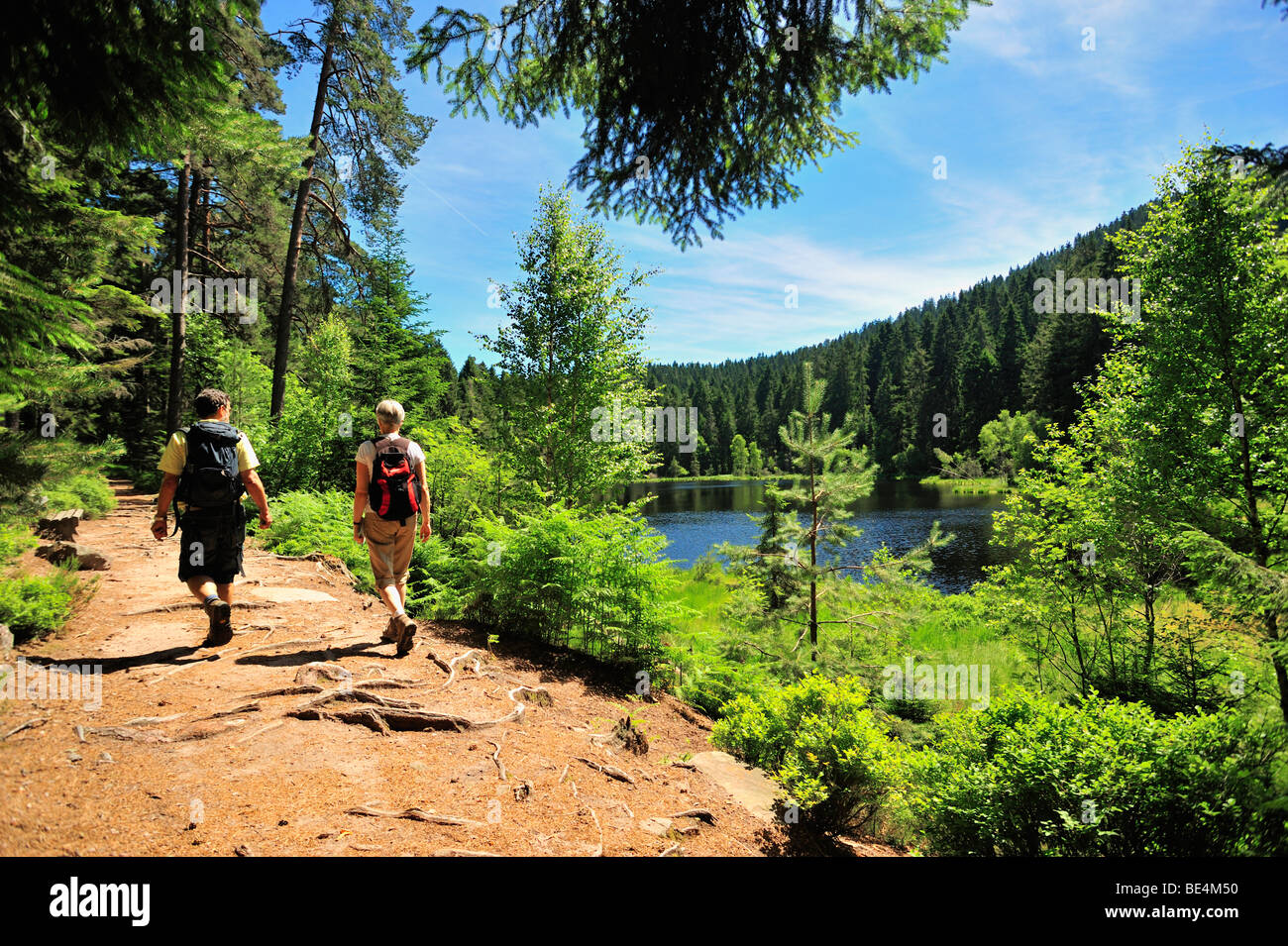 Gli escursionisti a Herrenwieser vedere il lago, Westweg, Forbach, Foresta Nera, Baden-Wuerttemberg, Germania, Europa Foto Stock