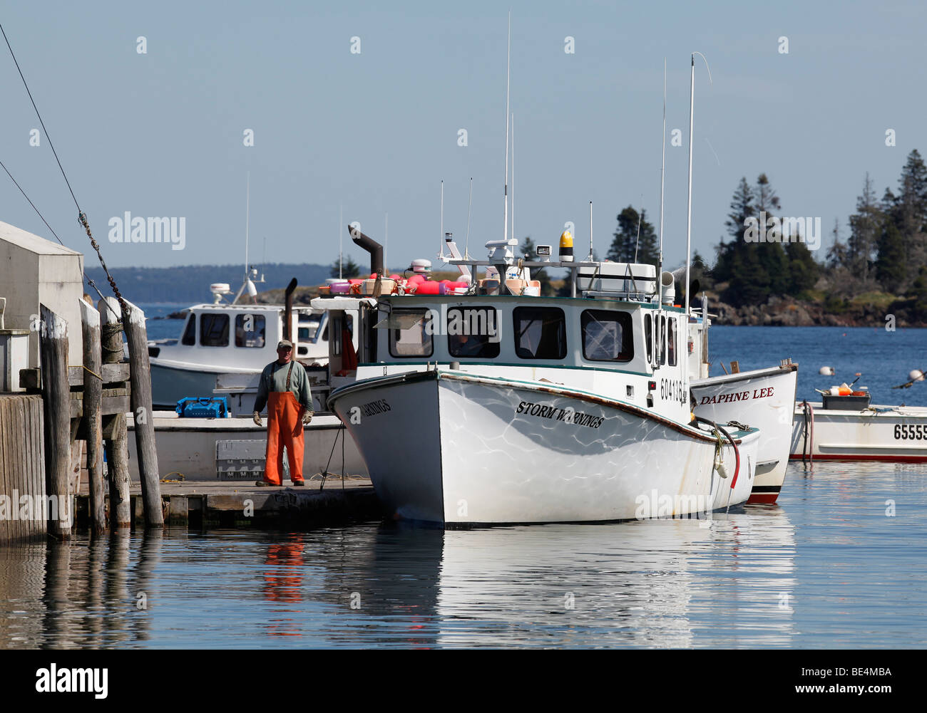 Un lobsterman sorge accanto a un lobster boat al dock, gufi Testa, Maine Foto Stock