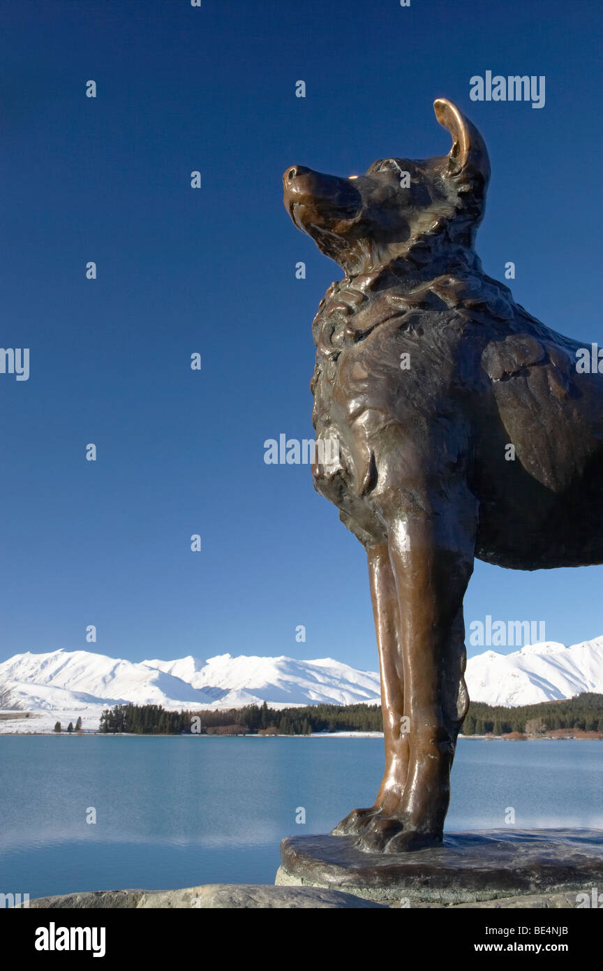 Cane di pecora statua, Lago Tekapo e due pollice gamma, paese di Mackenzie, Isola del Sud Foto Stock