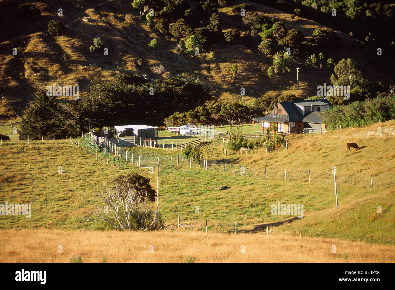 Nuova Zelanda - Isola del Sud - Canterbury - Penisola di Banks Foto Stock