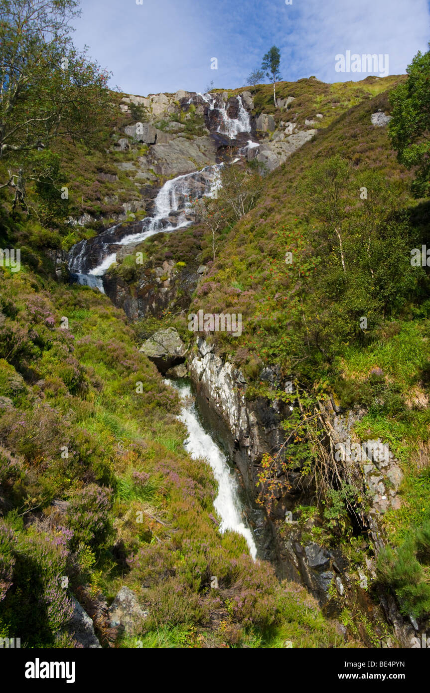 Il Allt Bhuidhe cascata, Glen Muick. In primo piano è la fioritura Erica Calluna vulgaris. Foto Stock