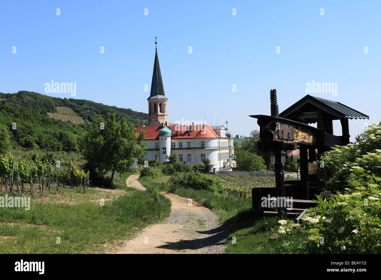 Premere il vino e il castello dell'Ordine Teutonico, Gumpoldskirchen, boschi di Vienna, Austria Inferiore, Austria, Europa Foto Stock