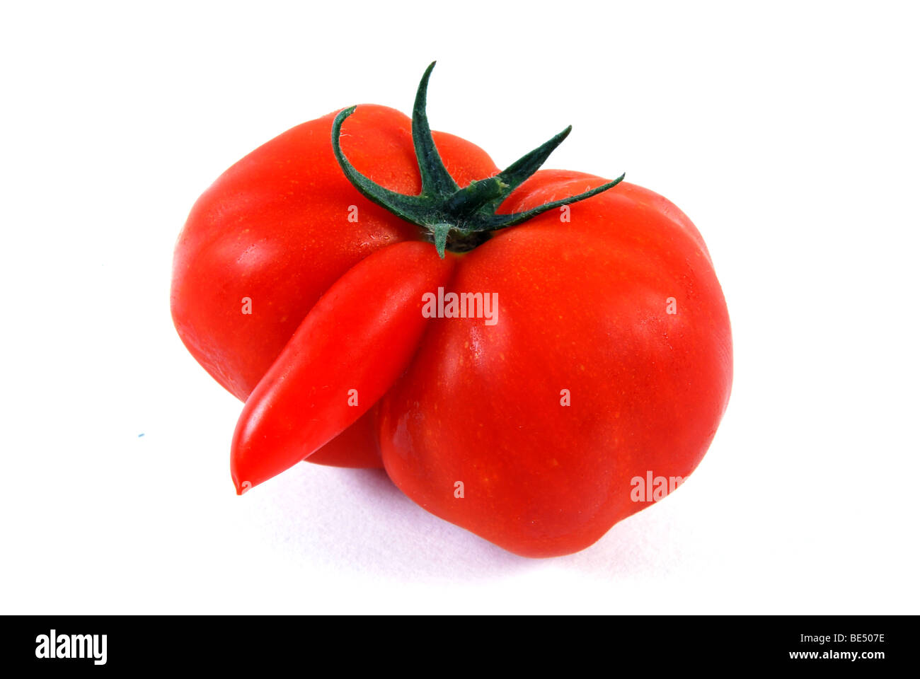 Divertente commedia di pomodoro il cibo rude di pomodoro sembra una verdura suggestiva Foto Stock