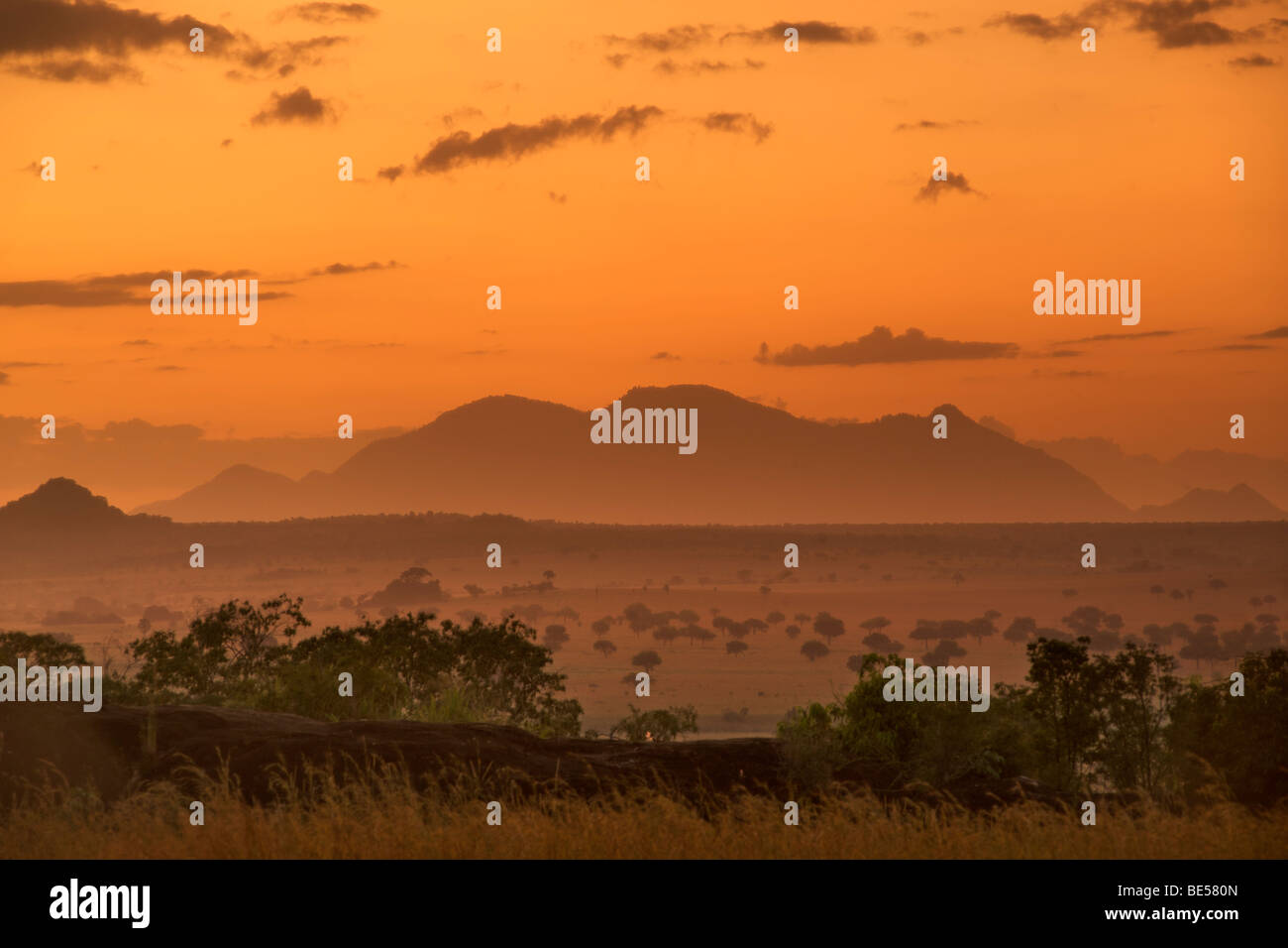 Montare Morungole visto dalla Kidepo Valley National Park in Uganda del nord all'alba. Foto Stock