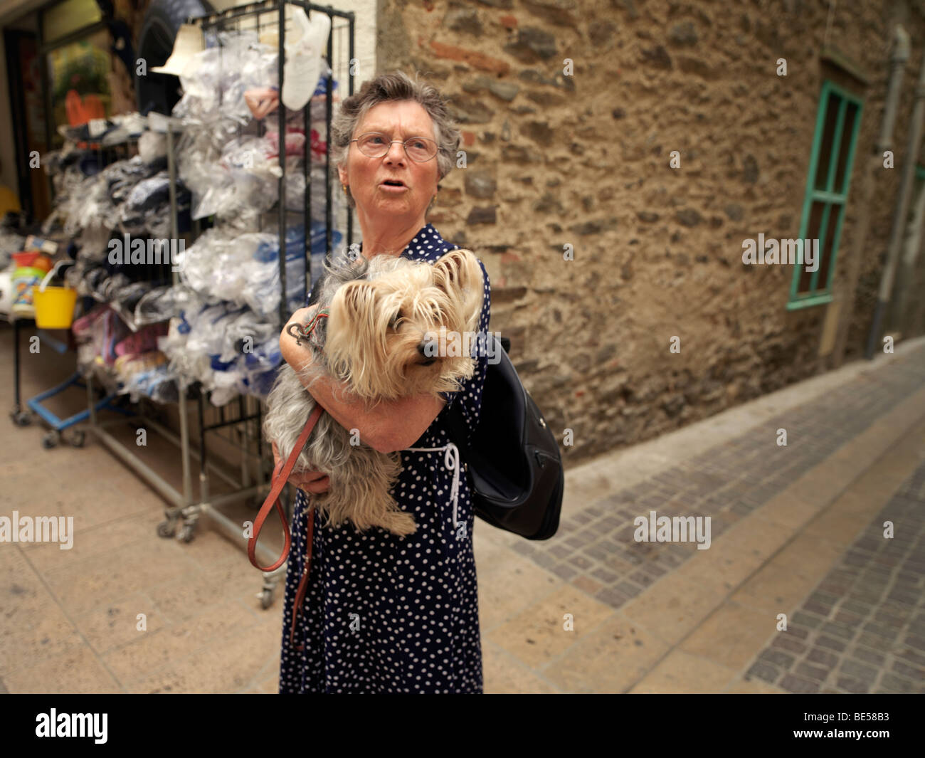 Donna e Cane Collioure e Languedoc Roussillon Francia Foto Stock