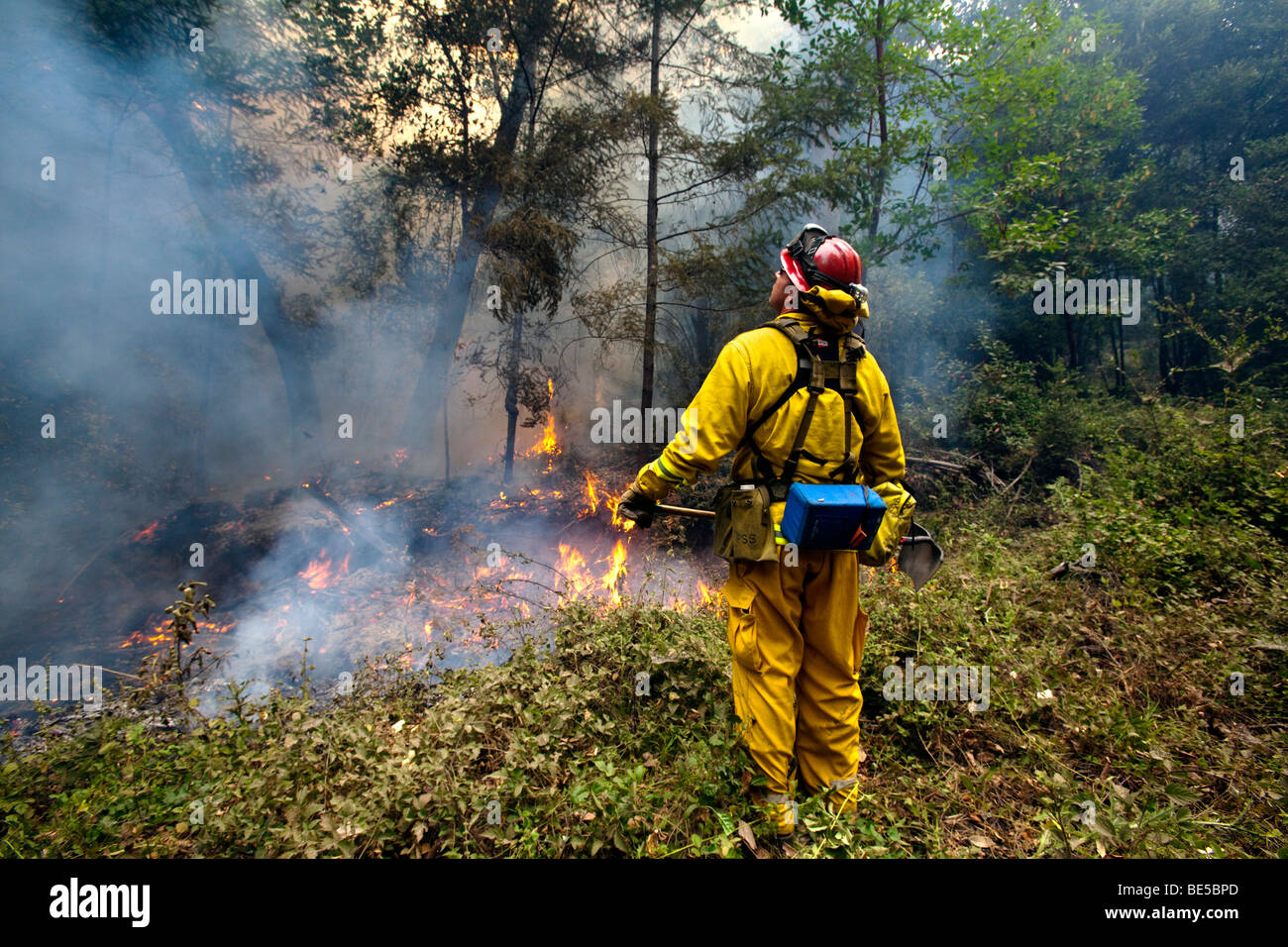 Wildland vigili del fuoco presso la California Lockheed wildfire in Santa Cruz Mountains. CALFIRE/CDF Foto Stock