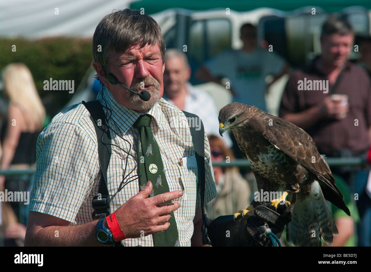Display di falconeria a Westmorland contea agricola Visualizza Foto Stock