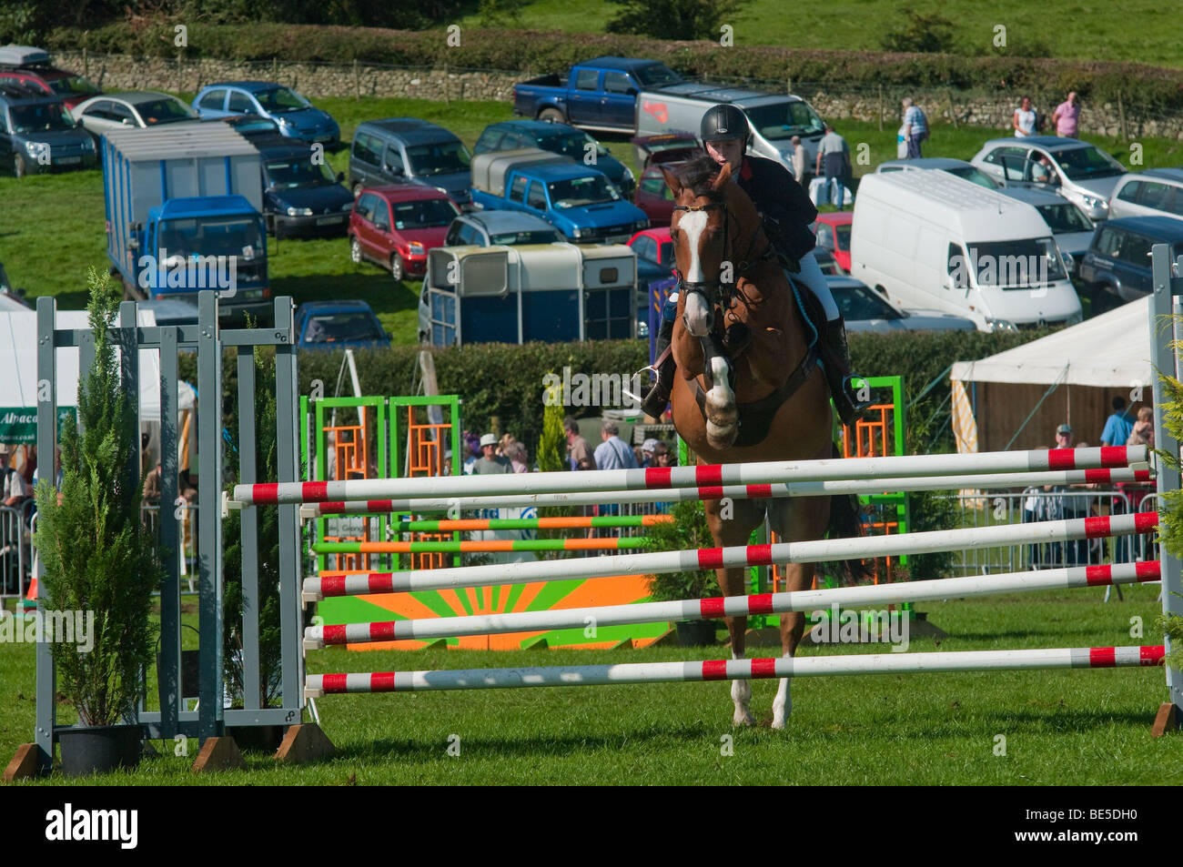 Show Jumping a Westmorland contea agricola show. Foto Stock