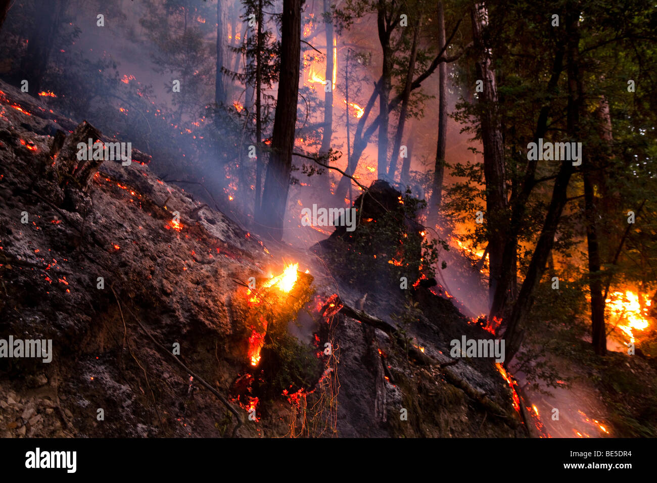 California Lockheed wildfire in Santa Cruz Mountains. CALFIRE/CDF - California Dipartimento di silvicoltura e protezione antincendio Foto Stock