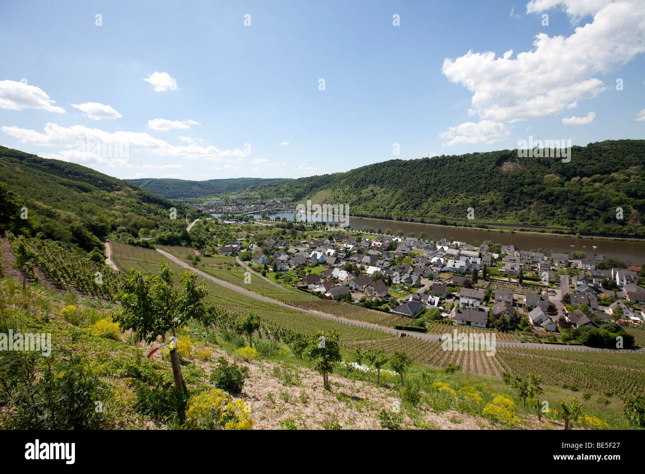 Vista sulla Mosella città di Alken, Rhein-Hunsrueck-Kreis district, Renania-Palatinato, Germania, Europa Foto Stock