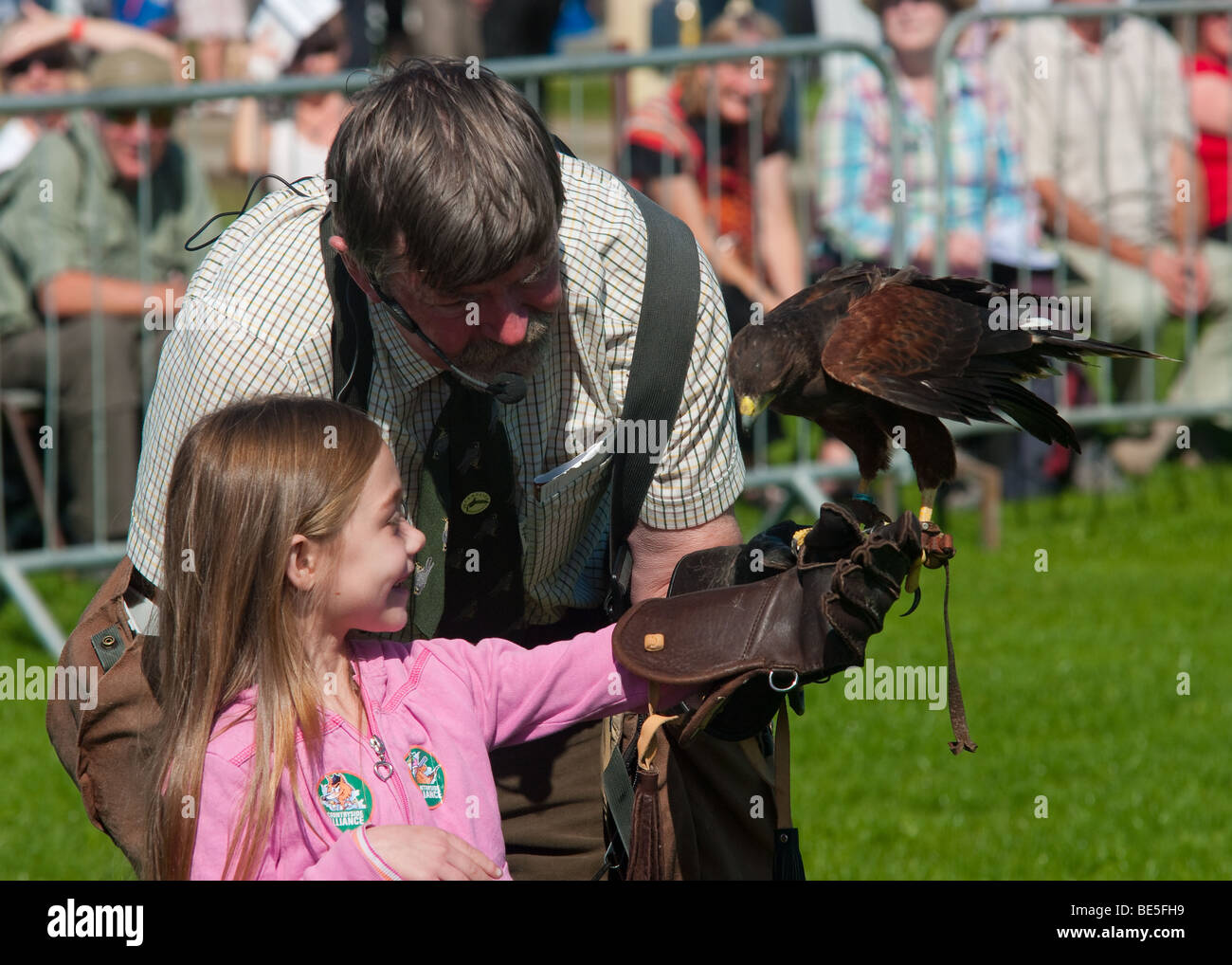 Display di falconeria a Westmorland contea agricola Visualizza Foto Stock