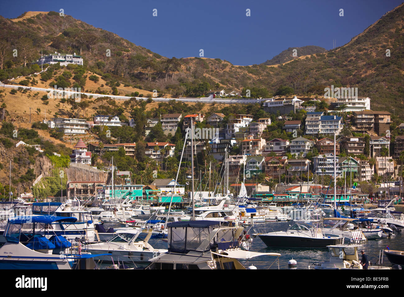 AVALON, CA, Stati Uniti d'America - imbarcazioni da diporto in porto, Isola di Santa Catalina Foto Stock