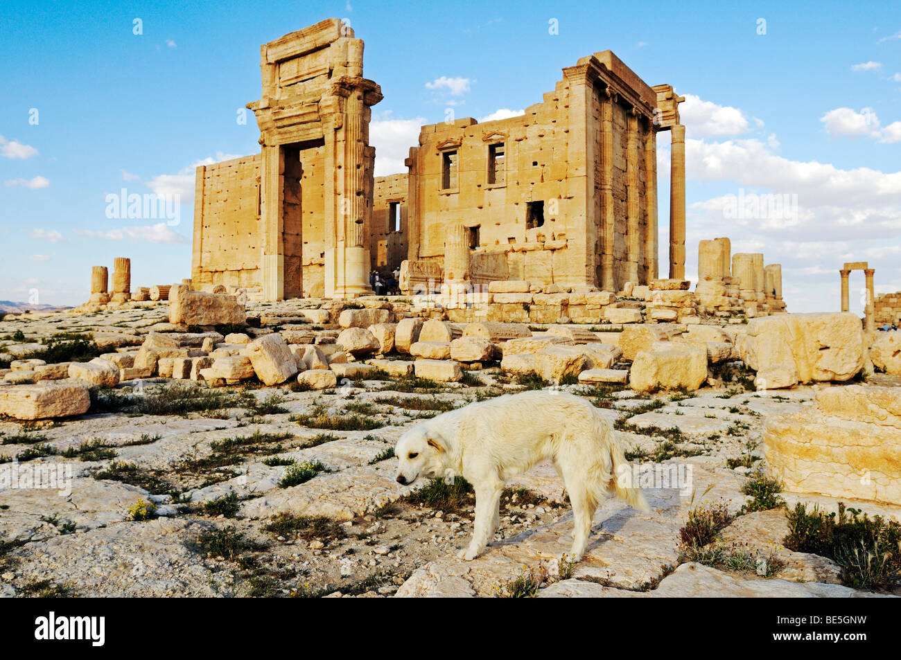 Tempio di Baal Shamin nelle rovine di Palmyra sito archeologico, Tadmur, Siria, Asia Foto Stock