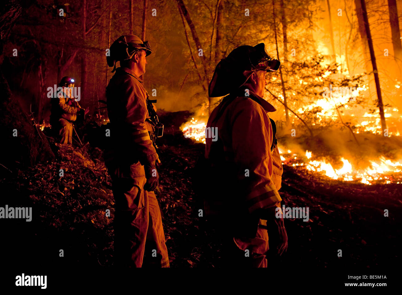 Wildland vigili del fuoco presso la California Lockheed wildfire in Santa Cruz Mountains. CALFIRE/CDF Foto Stock