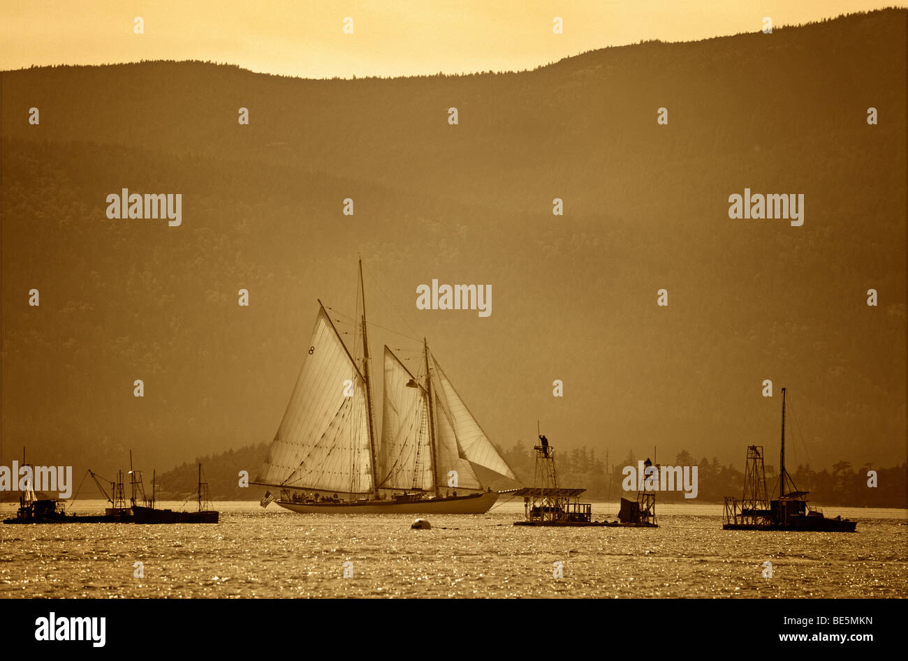 La Tall Ship Zodiac vele passato reefnet salmon marce tra Lummi Island e Orcas Island. Lo Zodiaco è stato lanciato nel 1924. Foto Stock